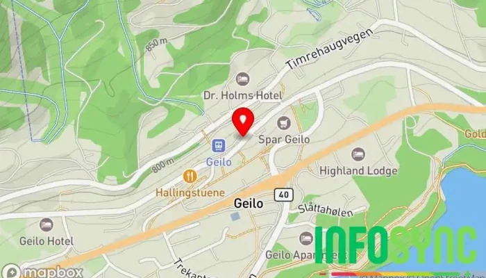 kart over Geilo stasjon Bussholdeplass i Geilo