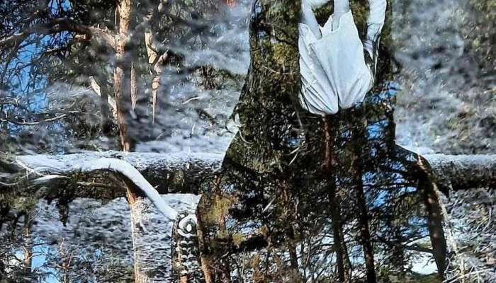 Geilo365 - Geilo
