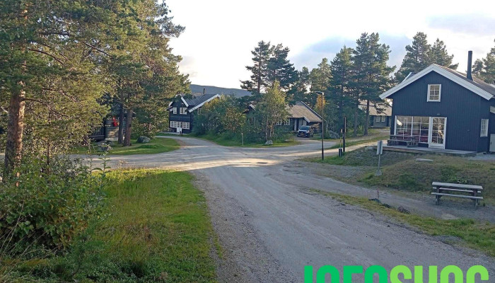 Geilolia Hyttetun -  Landskap - Geilo