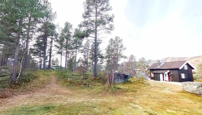 Geilolia Hyttetun -  Street View 360deg - Geilo