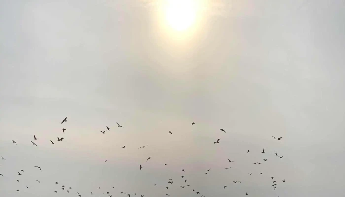 Giske -  Område - Giske