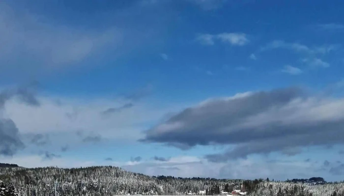 Granasen Kommentarer - Trondheim