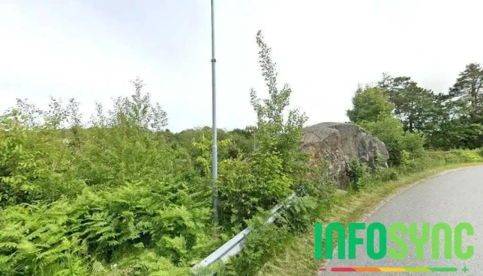 Grimstad Konsulenttjenester - Grimstad