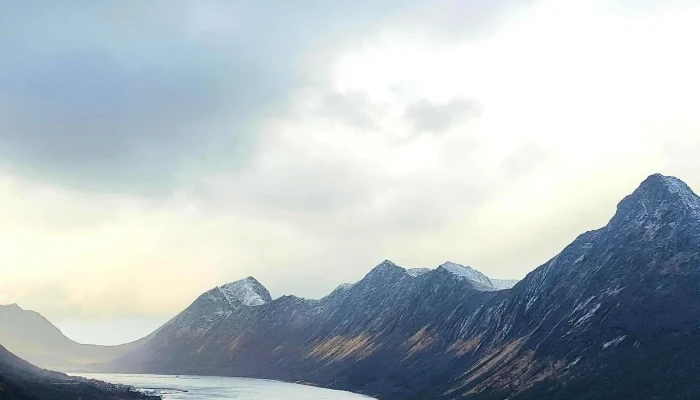 Gryllefjord Observasjonskurve -  Kommentarer - Gryllefjord