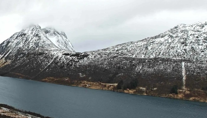 Gryllefjord Observasjonskurve -  Timeplan - Gryllefjord