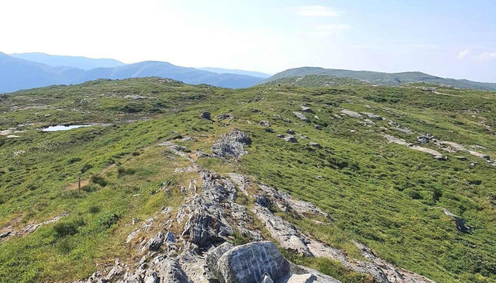 Grønetua - Norge