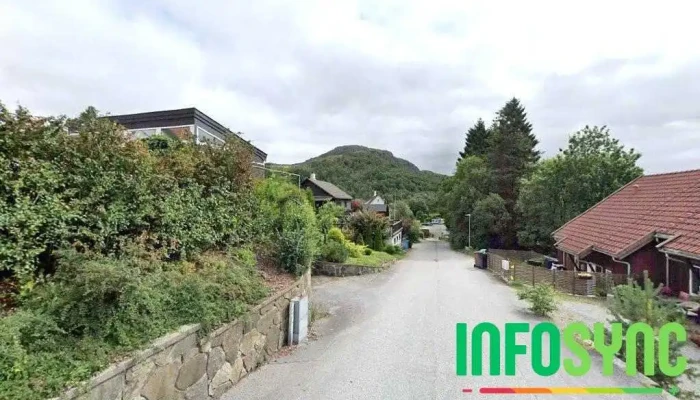 Haaland markedsføring - Figgjo