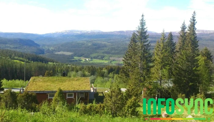 Haltdalen -  Alle - Haltdalen