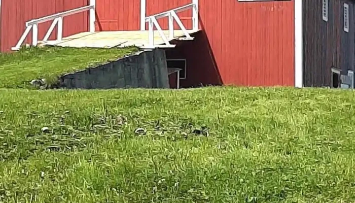 Helgeland Museum, Herøy. Herøy Bygdesamling - Herøy