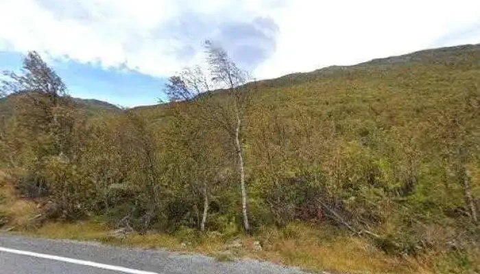 Hemsedal Hoyfjellssenter Alle - Hemsedal