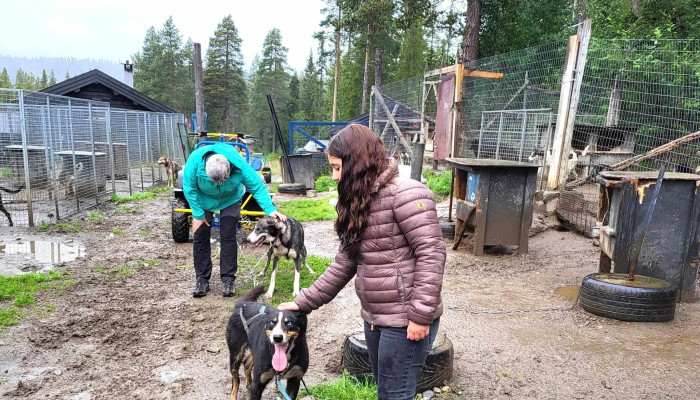 Hemsedal Husky Dogsledding -  Priser - Hemsedal