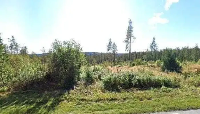 Hemsedal Husky Dogsledding -  Street View 360deg - Hemsedal