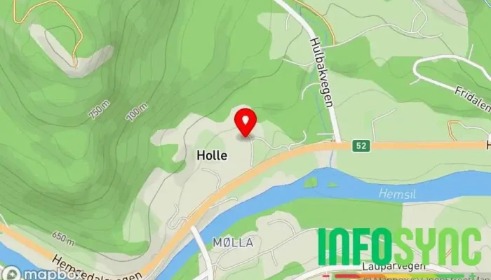 Hemsedal SkiRestauranter As - Hemsedal