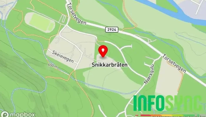 kart over Hemsedal Turbusser ANS Bussreiseselskap i Hemsedal