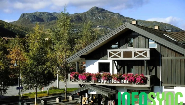 Hemsetunet Apartments -  Alle - Hemsedal