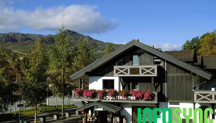 Hemsetunet Apartments -  Eksterior - Hemsedal