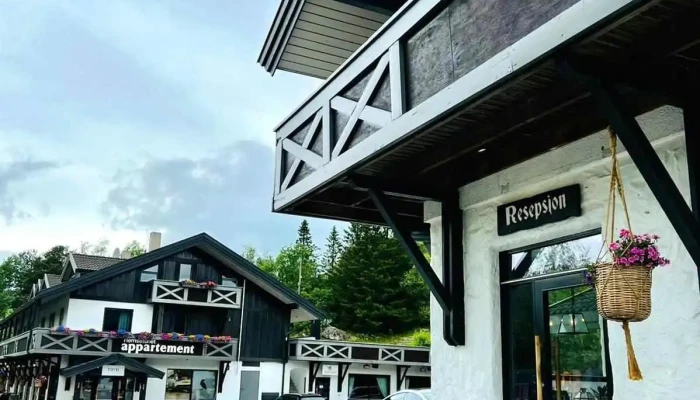Hemsetunet Apartments -  Fra Besokende - Hemsedal