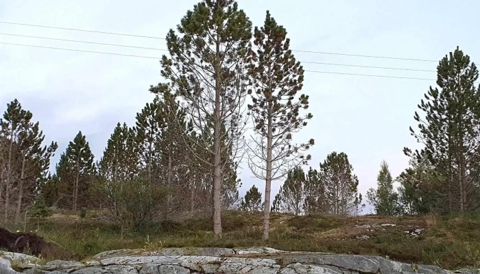 Hitra Turistservice As -  Katalog - Sandstad