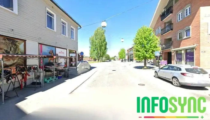 Hjelp Pus Hadeland - Gran