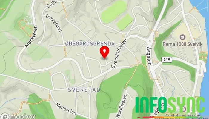Hjemmelevering Svelvik - Norway