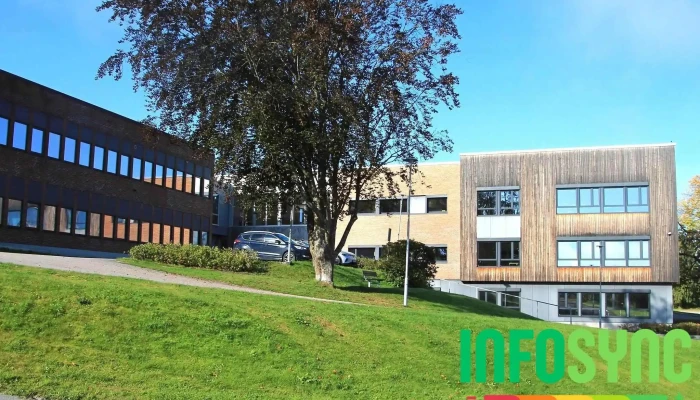 Holla 10-årige skole - Ulefoss