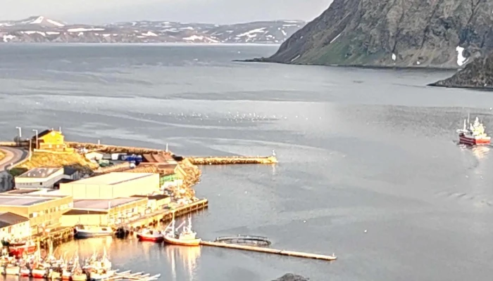Honningsvag View Point Plassering - Honningsvåg