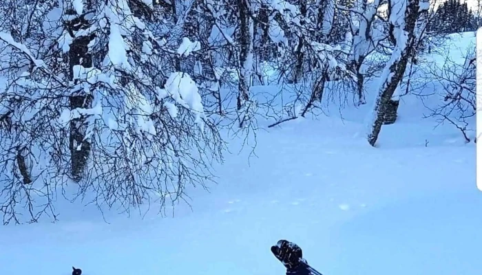 Hornindal Skisenter -  Skisenter - Hornindal