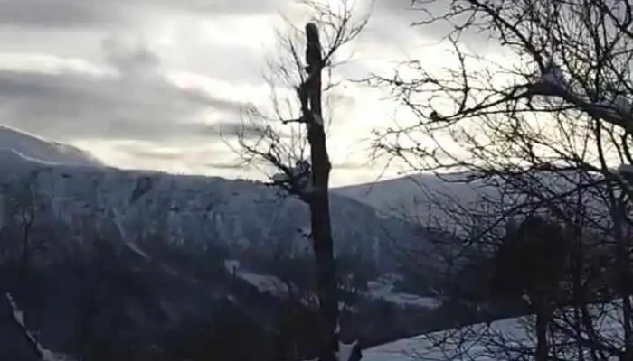 Hornindal Skisenter -  Videoer - Hornindal
