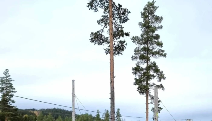 Hoyt Lavt Klatrepark Trysil Arrangør Av Utendørsaktiviteter - Trysil