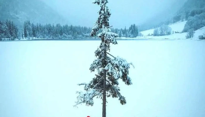 Hundorp -  Fjell - Hundorp