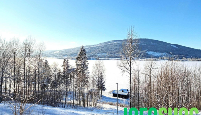 Hurdal Syn -   Og Mestringssenter Alle - Hurdal