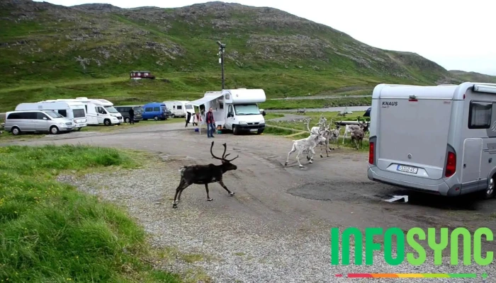 Hytte Camp Nordkapp   Basecamp Videoer - Skarsvåg