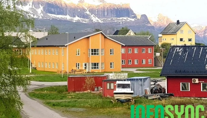 Inndyr -  Fjell - Inndyr