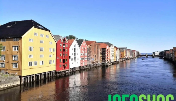 International Development Norway As -  Alle - Trondheim