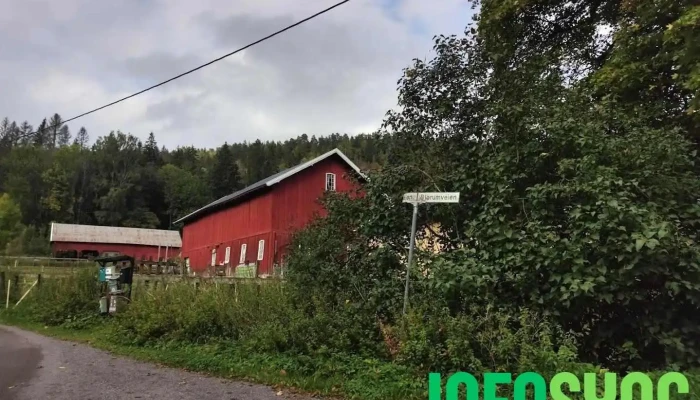 Isi - Skui
