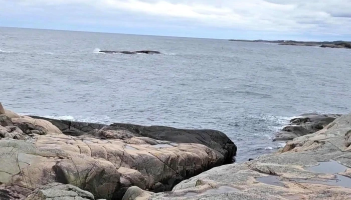 Jettegrytene Pa Sild Turistattraksjon - Risør