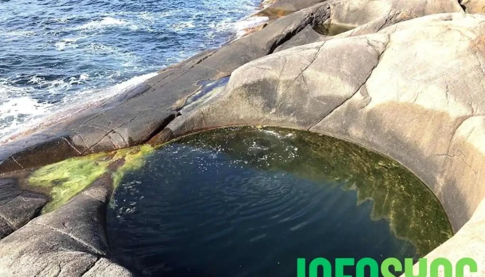 Jettegrytene på Sild - Risør