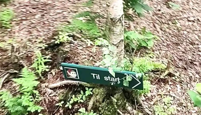 Karlshus Skihopp -  Videoer - Råde