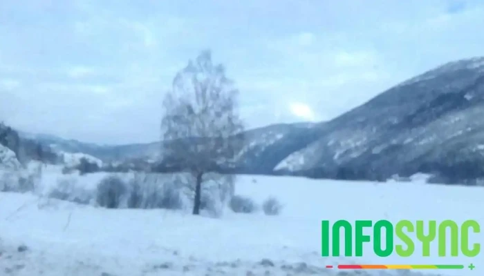 Kikut Bistro -  Videoer - Geilo