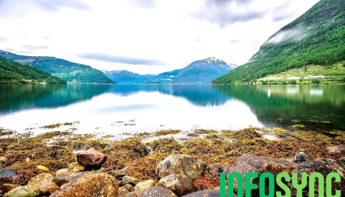 Kinsarvik Fergekai -  Alle - Kinsarvik