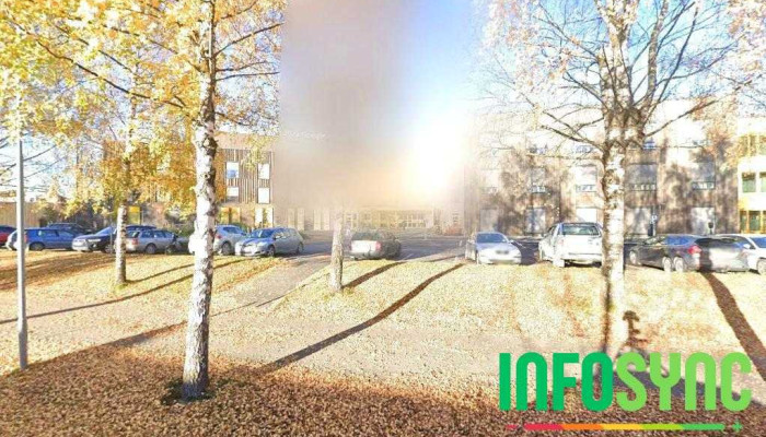 Kis Nord As avd. Verdal - Verdal