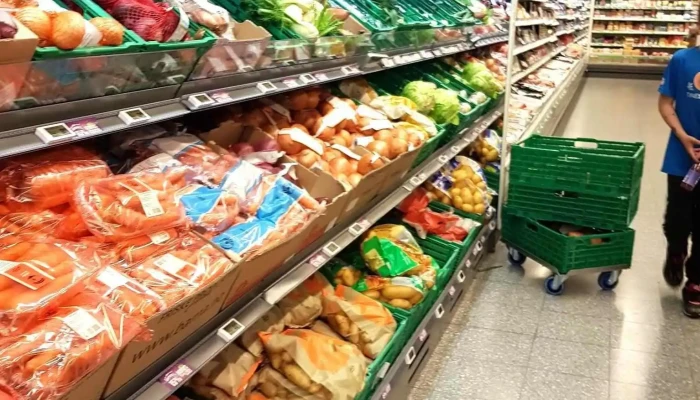 Kiwi Dokka -  Alle - Dokka