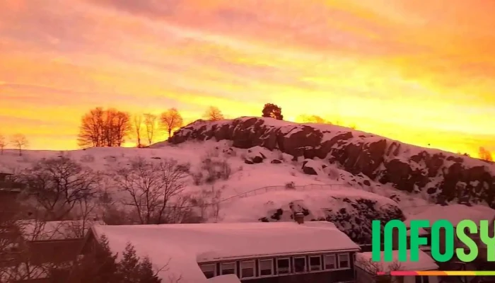Kompetansebyggeren -  Videoer - Tønsberg