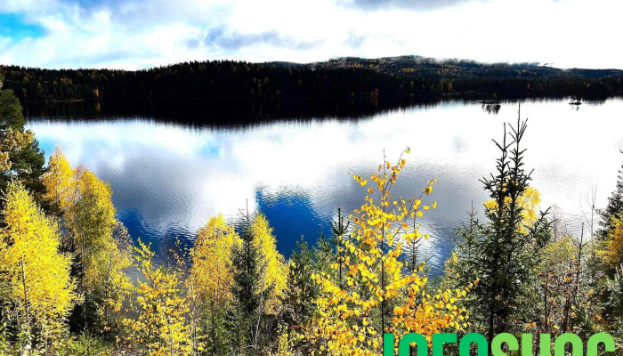 Krodsherad Kommune Alle - Noresund