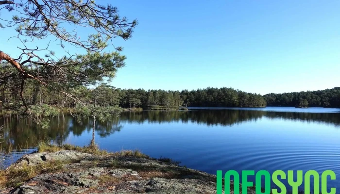 Krysstjernet -  Alle - Skjeberg