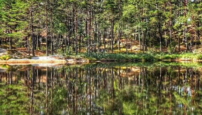 Krysstjernet -  Priser - Skjeberg