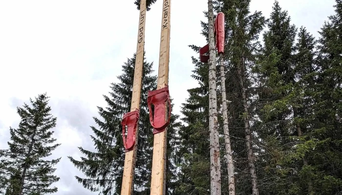 Kvaefjordloyper Telefon - Borkenes