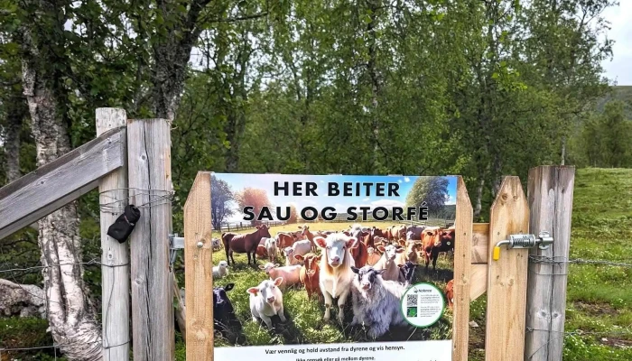 Kvaefjordloyper åpen Nå - Borkenes
