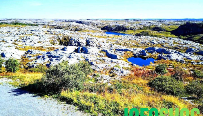 Kverva Naturskjønn utsikt - Kverva