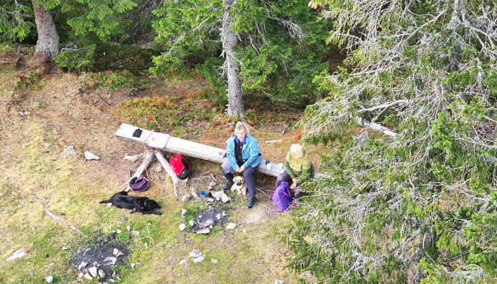 Lauvhogda Utsiktstarn Hvor - Raufoss
